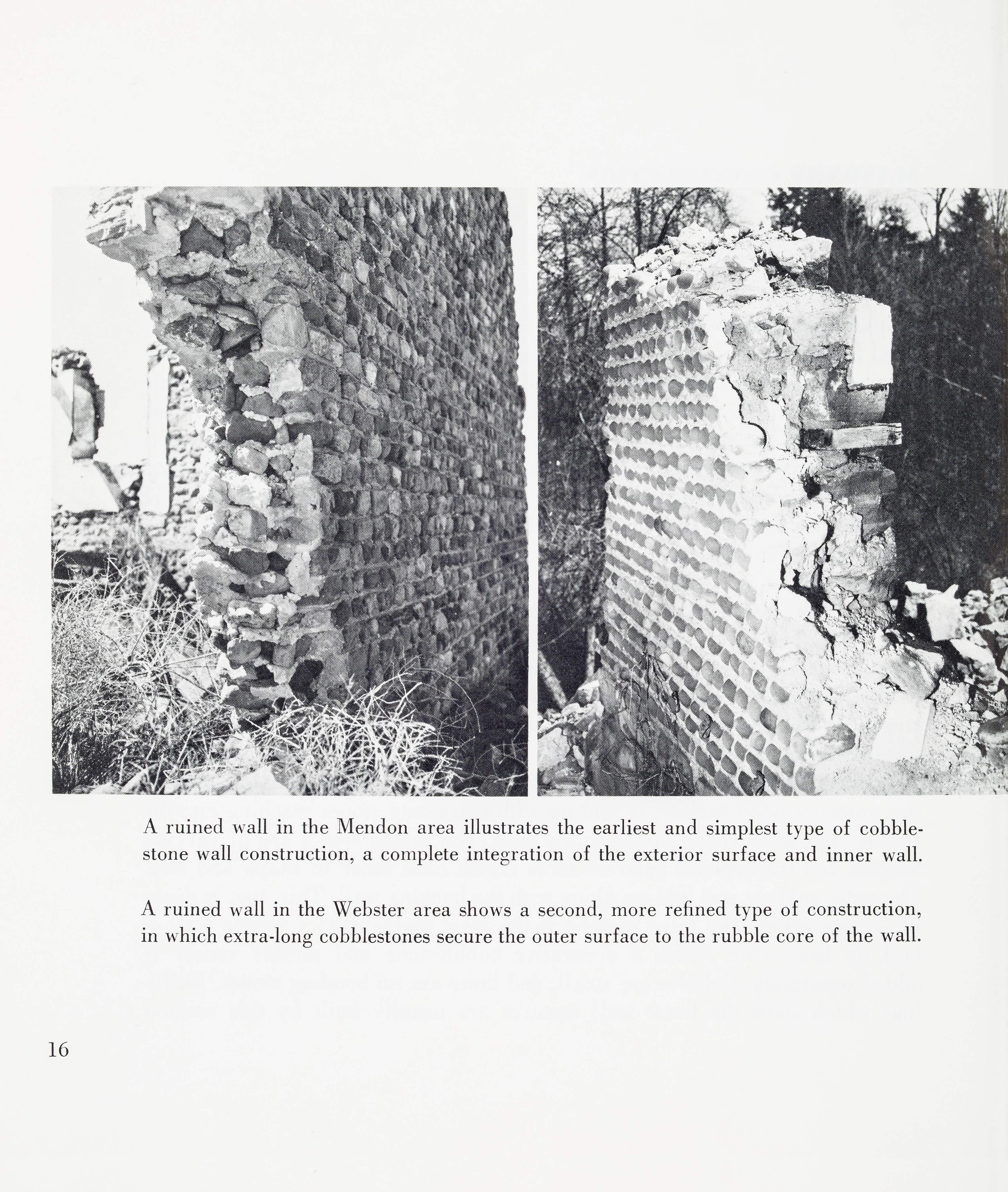 CLNYS Page 16 200315